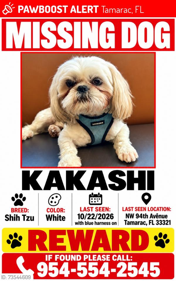 Lost Male Dog last seen Near pine Island, Tamarac, FL 33321