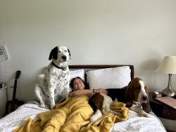 Reunited Male Dog last seen Not much in the area, Stuart, VA 24171