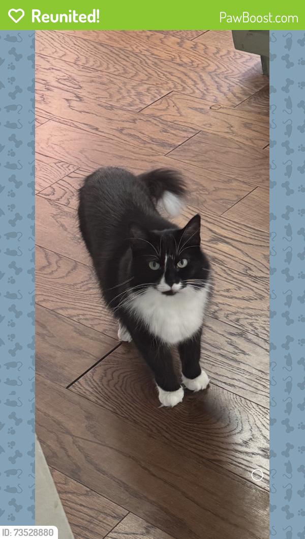 Reunited Female Cat last seen NW 58th and Ross, Oklahoma City, OK 73112