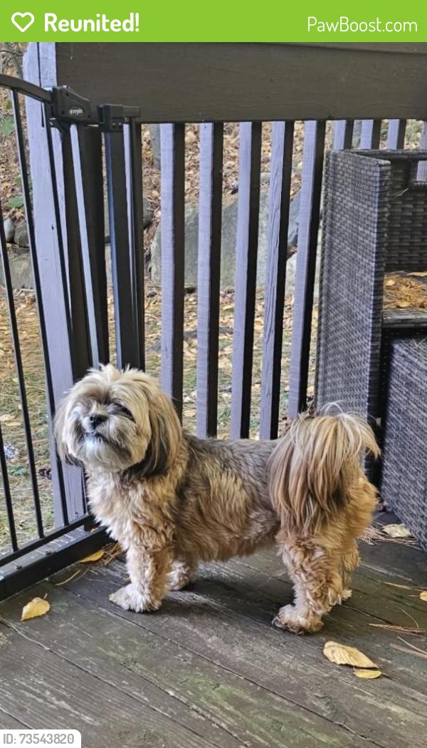 Reunited Female Dog last seen Yale St, Waterbury, CT 06704, USA, Waterbury, CT 06704