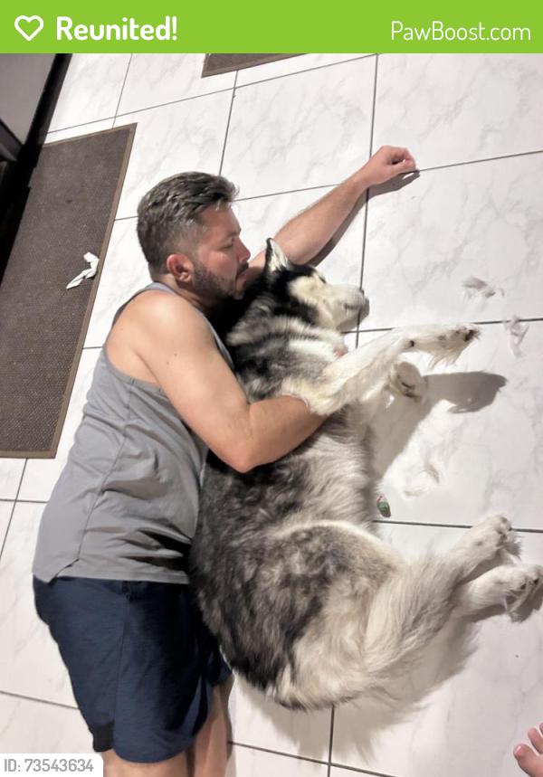 Reunited Male Dog last seen Psl blvd, Port St. Lucie, FL 34952