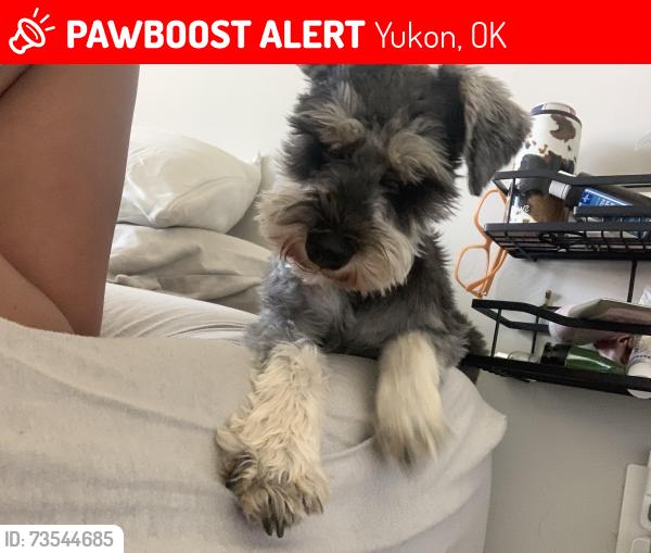 Lost Male Dog last seen Near Westbury terrace, Yukon, OK 73099