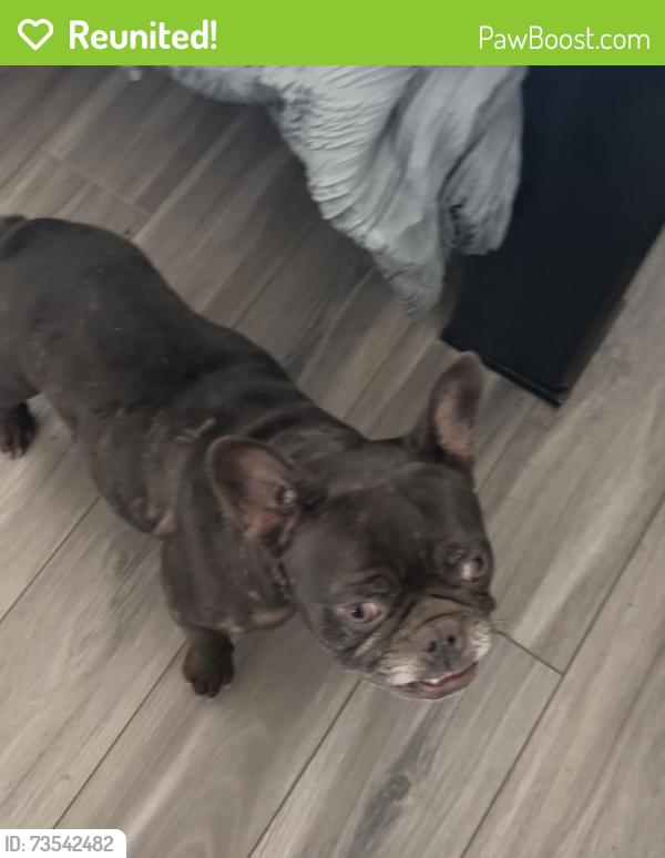 Reunited Unknown Dog last seen Long Cypress Katy Tx 77449, Katy, TX 77449