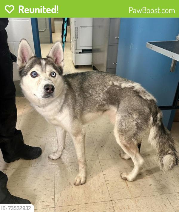 Reunited Male Dog last seen Ames and Etna, Saint Paul, MN 55106