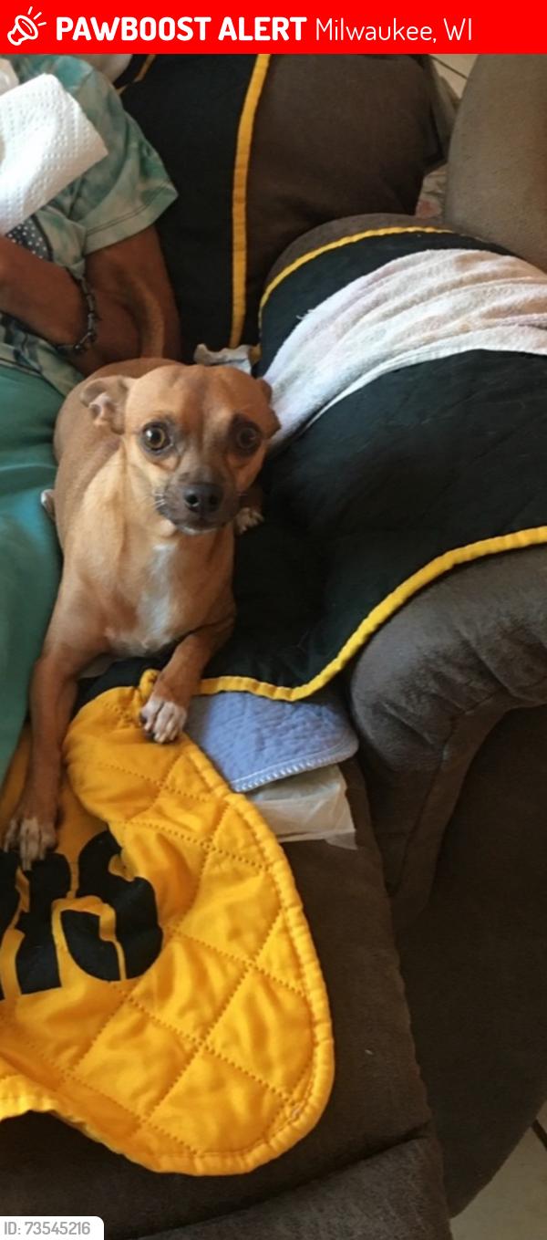 Lost Male Dog last seen Near & Dakota, Milwaukee, WI 53215