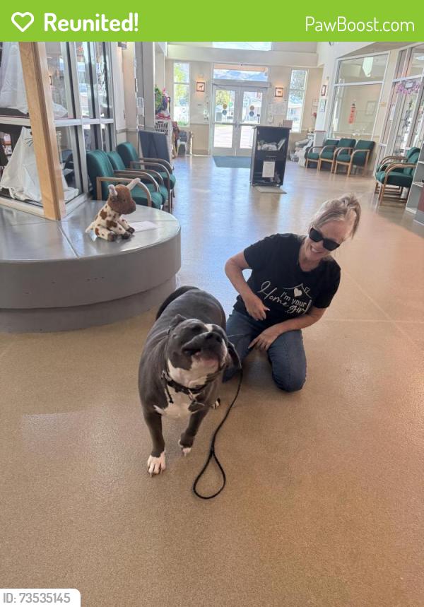 Reunited Male Dog last seen Poinsettia & Salvia, Murrieta, CA 92563