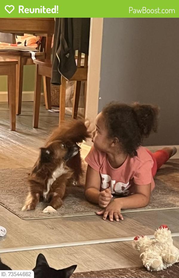 Reunited Female Dog last seen Ira, Brooklyn, OH 44144