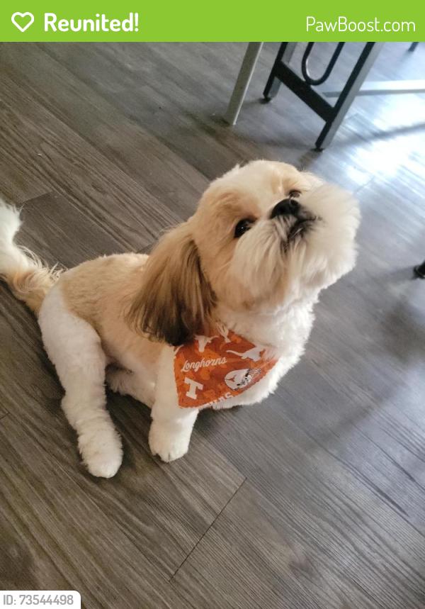 Reunited Male Dog last seen Slaughter ln and S.First st., Austin, TX 78748