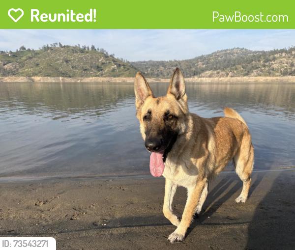 Reunited Male Dog last seen Near E Turner Ave, Fresno, CA 93727, USA, Fresno, CA 93727