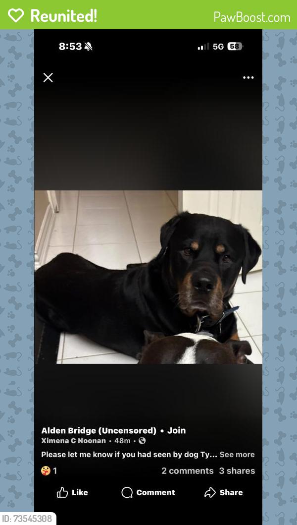 Reunited Male Dog last seen Near Rippled Pond Cir, Spring, TX 77382, USA, Spring, TX 77382