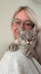 Reunited Male Cat last seen Talbot and collier, Casselberry, FL 32730