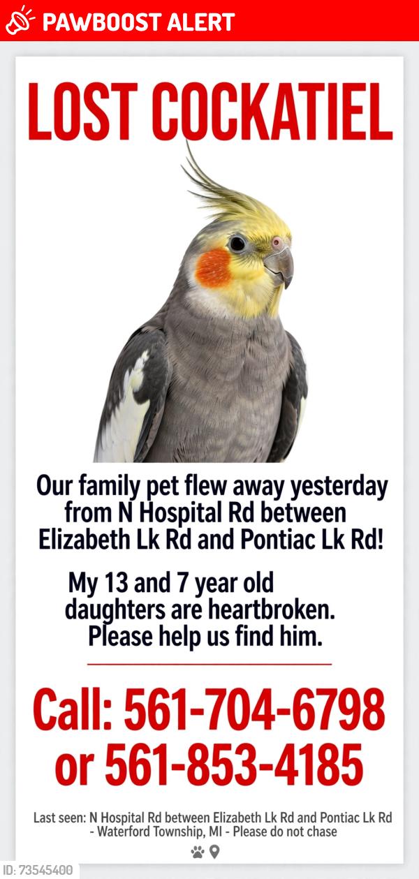 Lost Male Bird last seen Between Elizabeth Lk Rd and Pontiac Lk Rd, Waterford Township, MI 48327