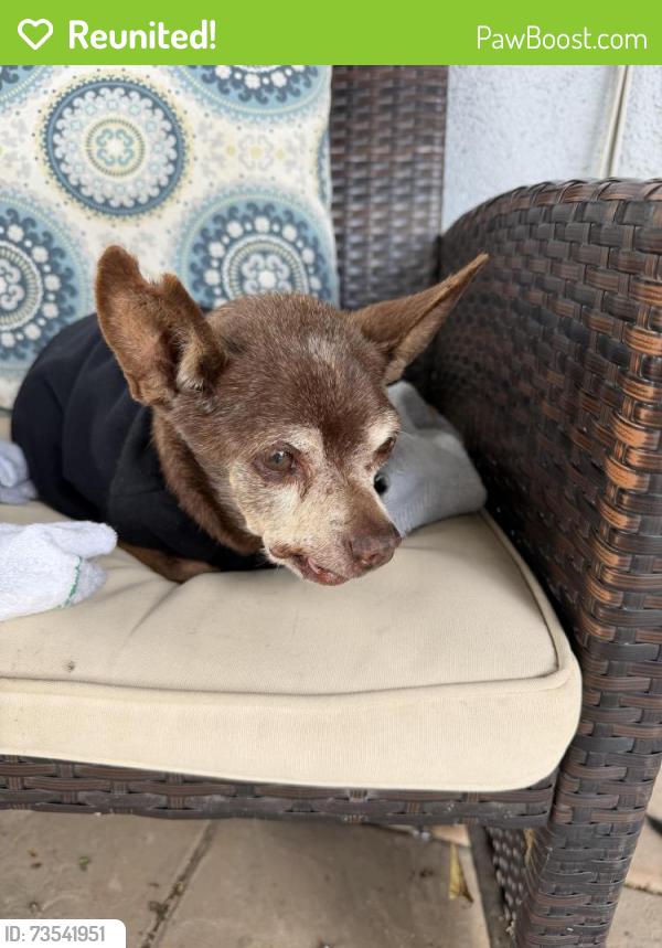 Reunited Unknown Dog last seen Hillside, Corona, CA 92881
