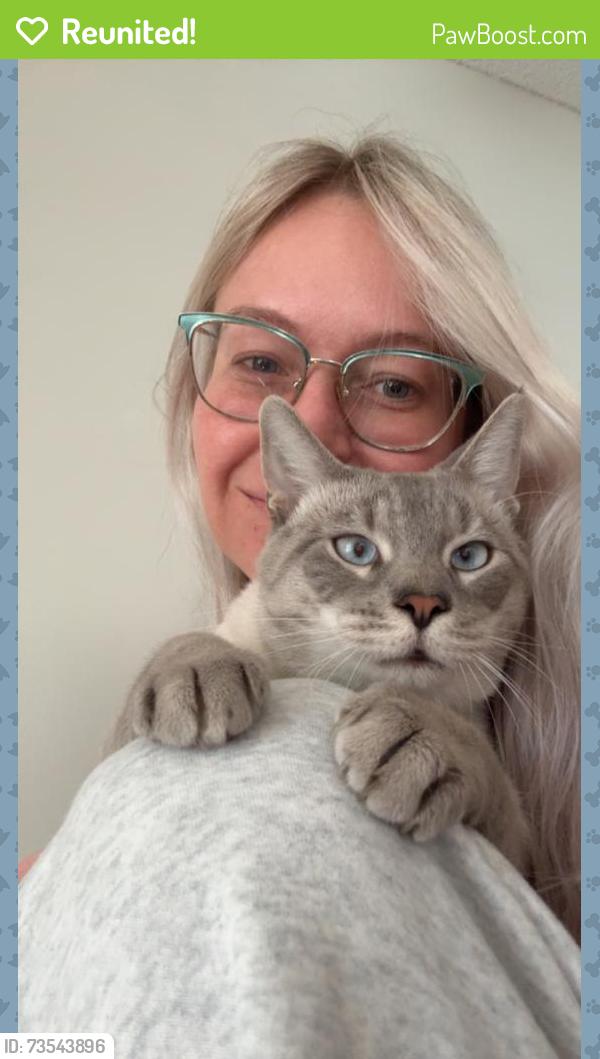 Reunited Male Cat last seen Talbot and collier, Casselberry, FL 32730