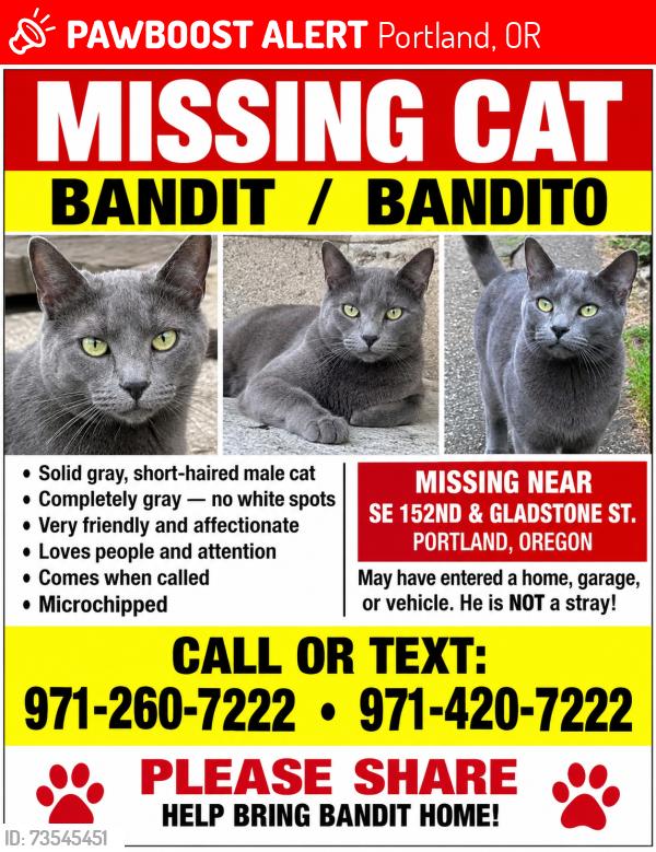 Lost Male Cat last seen Powell Butte, Portland, OR 97236