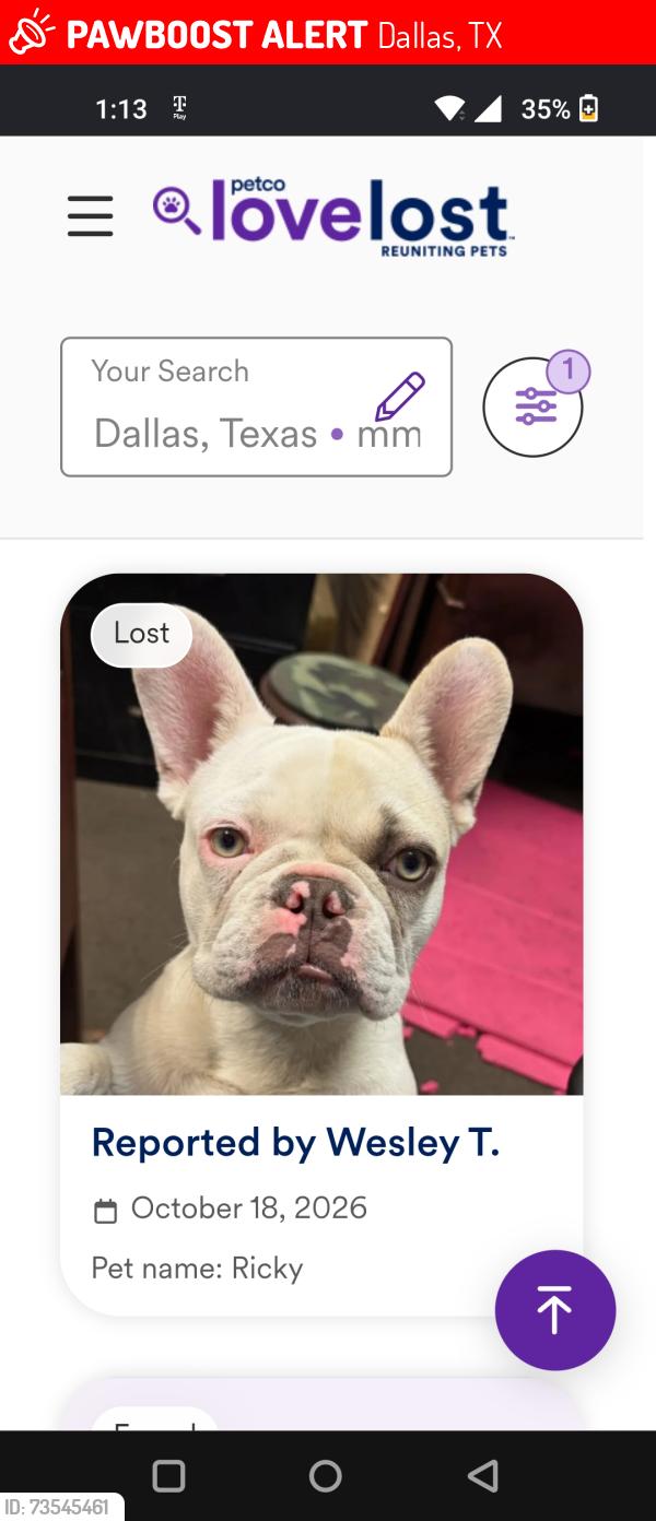 Lost Male Dog last seen Larson Lane, Dallas, TX 75229