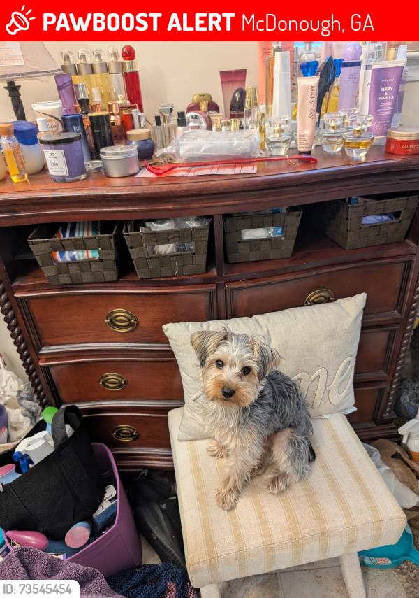 Lost Male Dog last seen Hamilton Pointe Drive and Culloden Moor Drive, McDonough, GA 30253