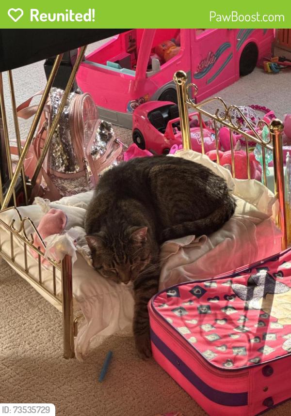 Reunited Female Cat last seen Bluff rd and trotters path, Eden Prairie, MN 55347