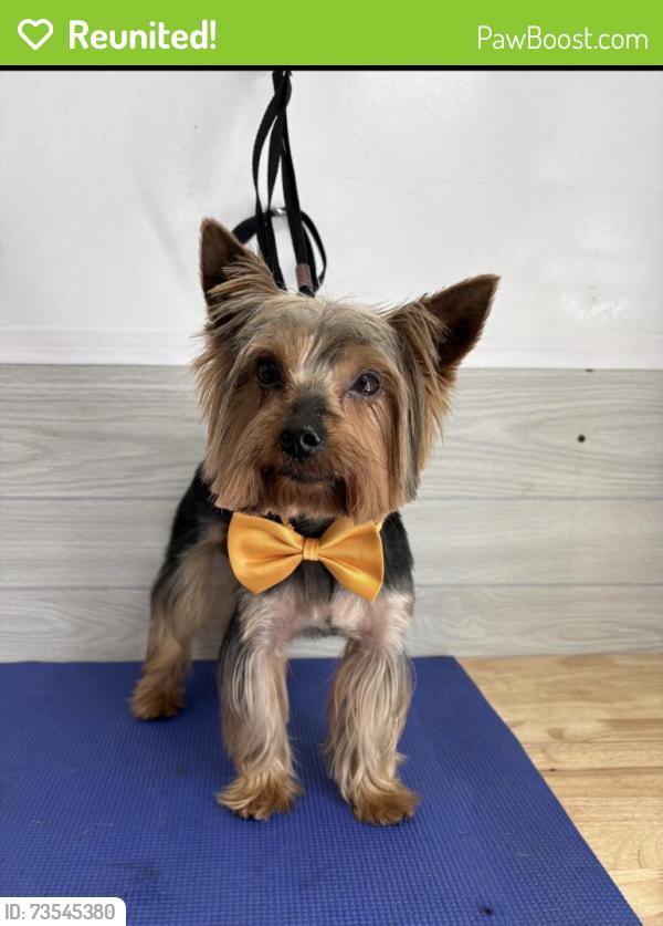 Reunited Male Dog last seen 20th ave hmstd Krome ave area, Homestead, FL 33033