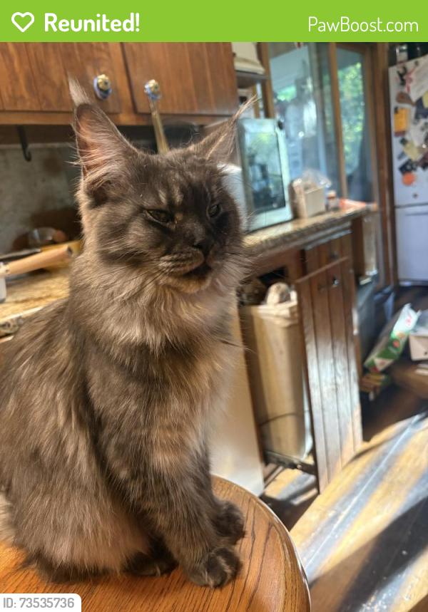 Reunited Female Cat last seen Hey 50, Bristol, WI 53104