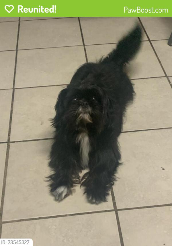Reunited Male Dog last seen Crommelin Ave, Modesto, CA 95350, USA, Modesto, CA 95350