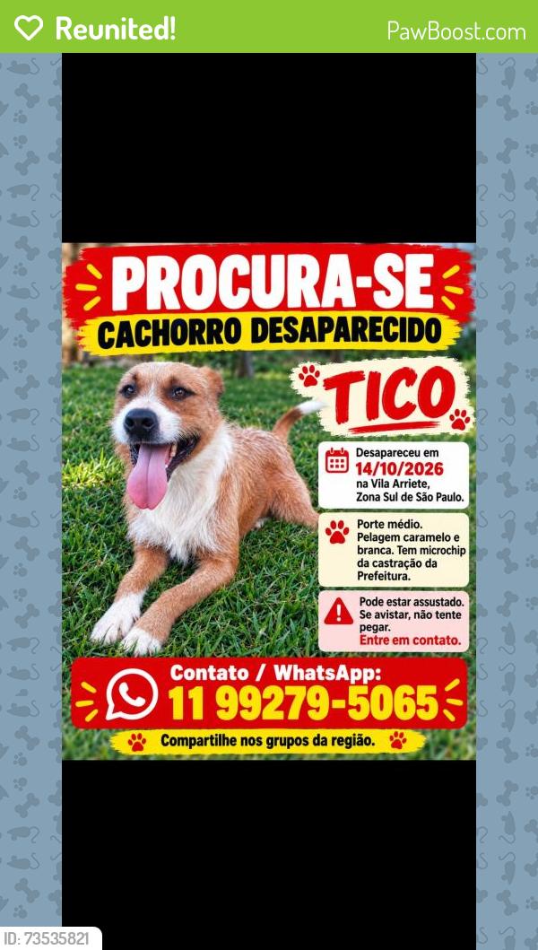 Reunited Male Dog last seen Ave nossa senhora do sabara, Vila Emir, SP 