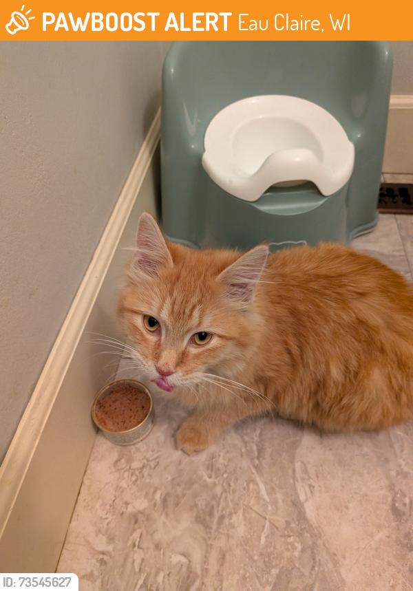 Found/Stray Unknown Cat last seen Carydon Park, Eau Claire, WI 54701
