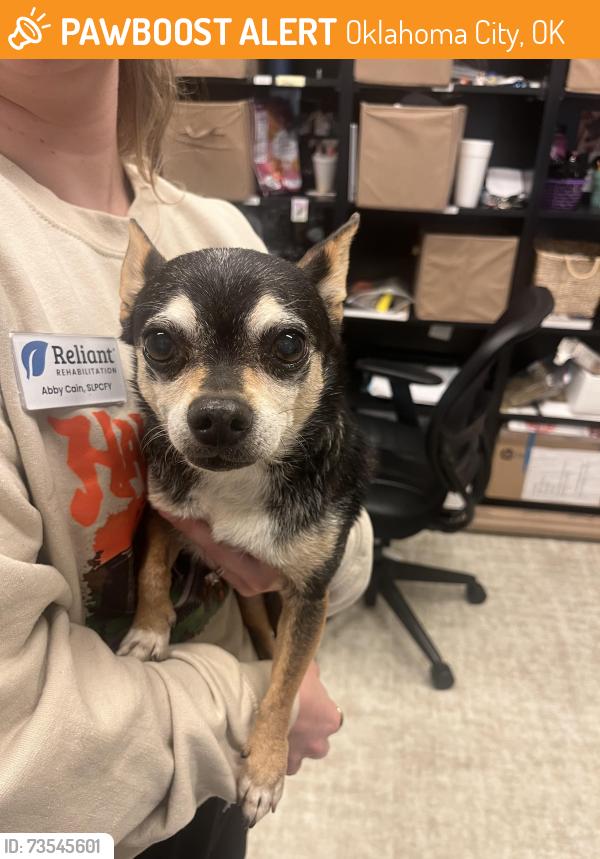 Found/Stray Male Dog last seen Baptist village communities, Oklahoma City, OK 73162