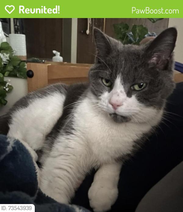 Reunited Female Cat last seen Shenandoah blvd & 131st ave, Minneapolis, MN 55448