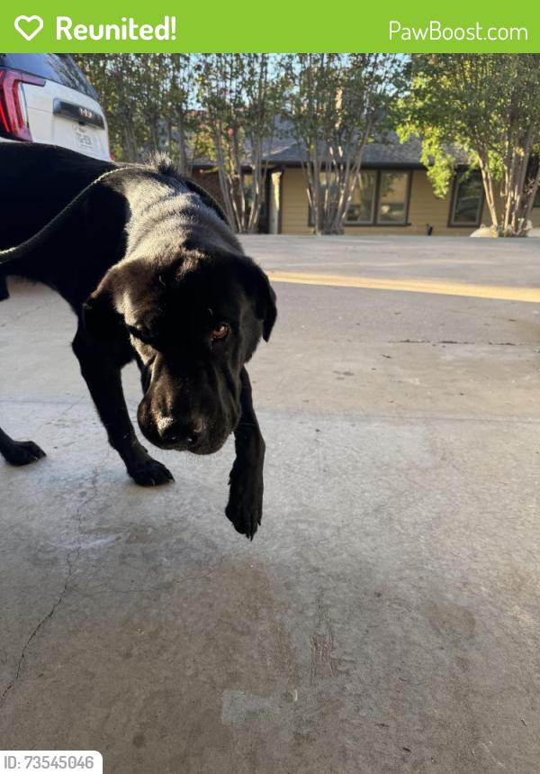 Reunited Male Dog last seen Queensway Rd and Royal view dr, Willow Park, TX 76087