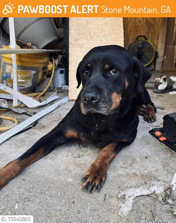 Found/Stray Female Dog last seen Hairston Way and Rockbridge Road, Stone Mountain, GA 30088