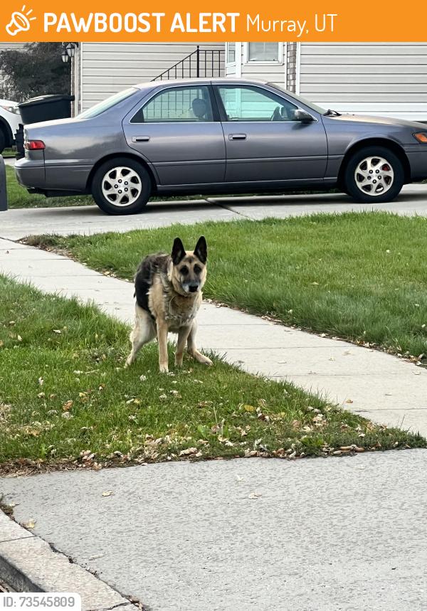Found/Stray Unknown Dog last seen Eagle Nest Dr, Murray, UT 84123