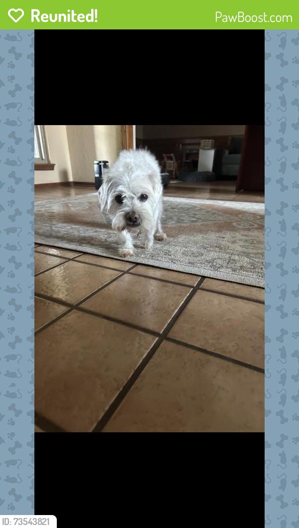 Reunited Male Dog last seen Near Apache Dr, Edmond, OK 73013, USA, Edmond, OK 73013