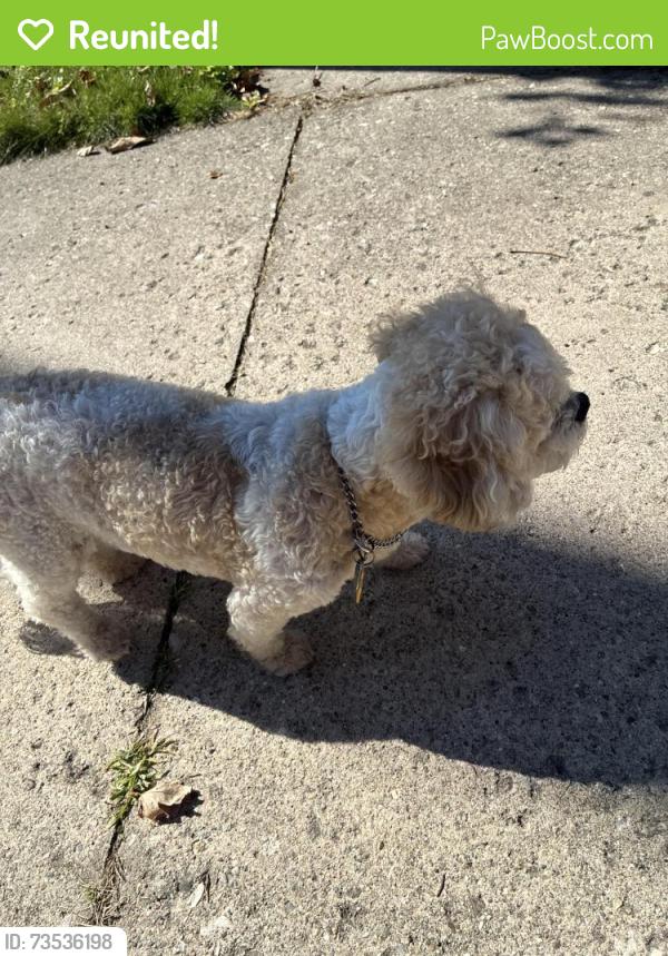 Reunited Female Dog last seen Near larchmont elementary, Toledo, OH 43612