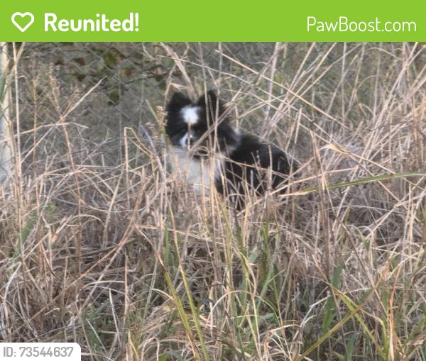 Reunited Unknown Dog last seen SW 149th St & S Western Ave, Oklahoma City, OK 73170, USA, Oklahoma City, OK 73170