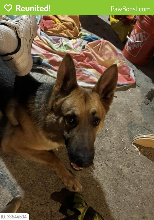Reunited Male Dog last seen Dorsey and Sycamore, Cincinnati, OH 45202
