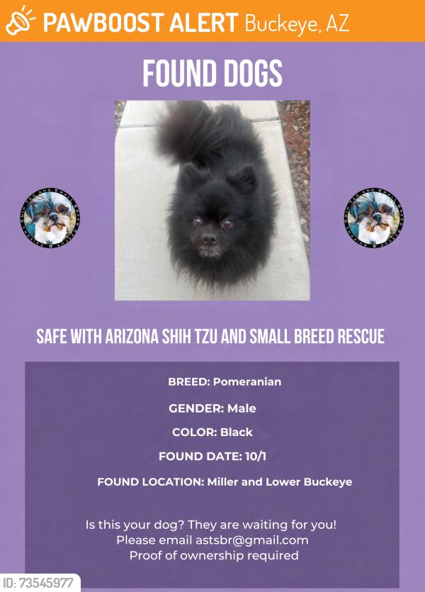 Found/Stray Male Dog last seen Miller and Lower Buckeye, Buckeye, AZ 85326