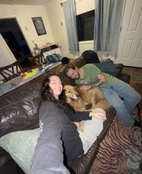 Reunited Male Dog last seen SE 105th Court + 101st was heading towards this field, Vancouver, WA 98664