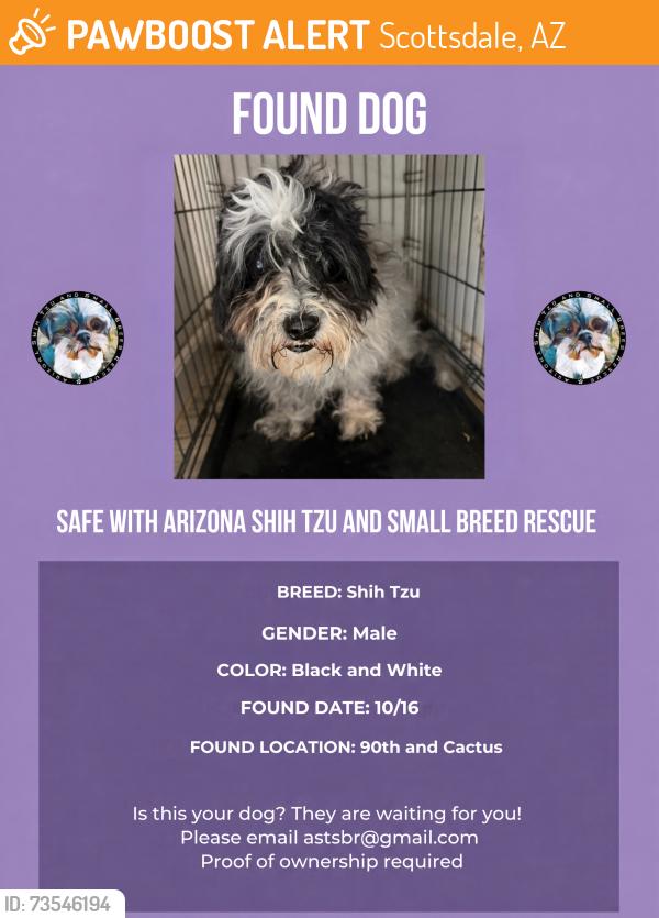 Found/Stray Male Dog last seen 90th and cactus, Scottsdale, AZ 85258