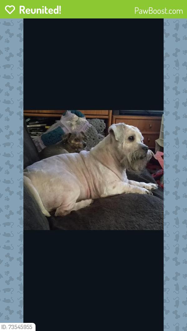 Reunited Male Dog last seen Who Dat Rd, Thonotosassa, FL 33527