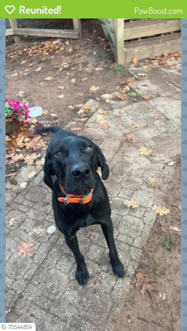 Reunited Male Dog last seen Near maple dump, Maple, WI 54854
