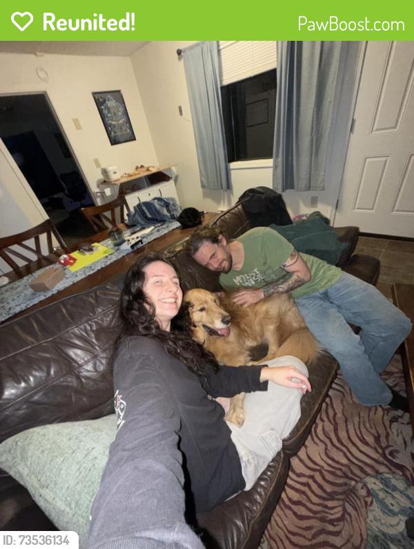 Reunited Male Dog last seen SE 105th Court + 101st was heading towards this field, Vancouver, WA 98664