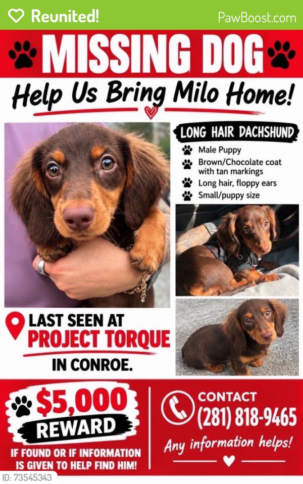 Reunited Male Dog last seen Project Torque, Conroe, TX 77301