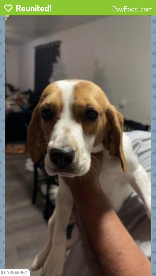 Reunited Female Dog last seen Lyon and Ramona, San Jacinto, CA 92582