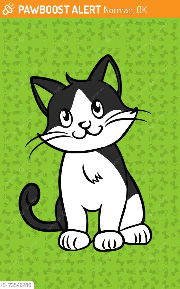 Found/Stray Unknown Cat last seen Tahoe Dr, Norman, OK 73071