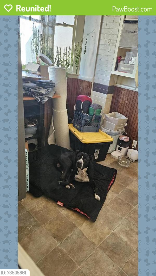 Reunited Male Dog last seen Charleston Light Opera Guild, Charleston, WV 25302