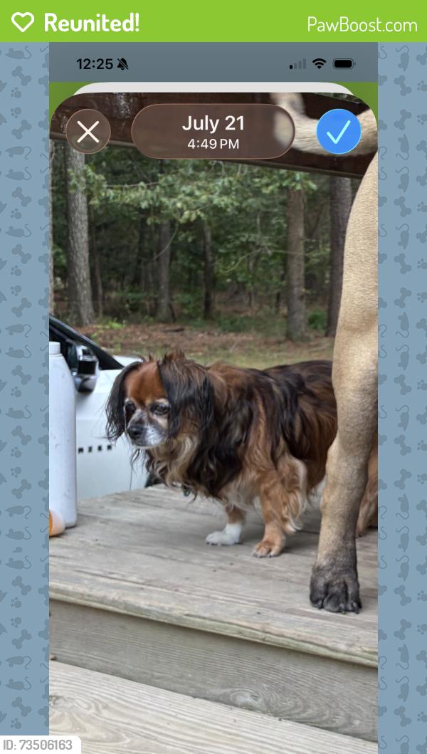 Reunited Male Dog last seen Four Tenths Rd and Upchurch Road, Elm City, NC 27822