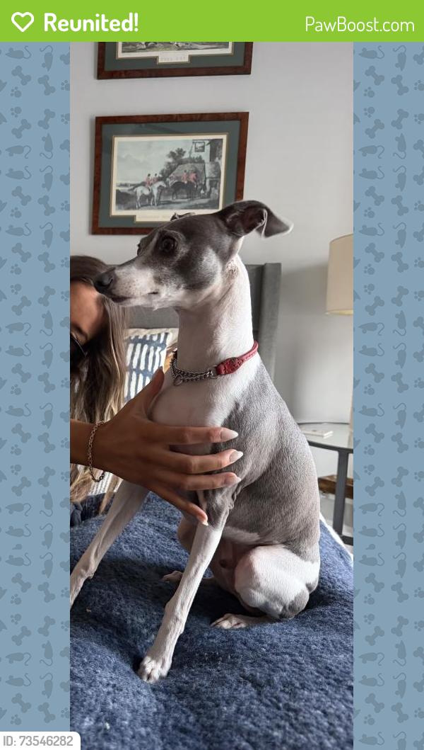 Reunited Male Dog last seen Near Howard park, West Palm Beach, FL 33401