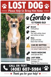 Lost Male Dog last seen El toro elementary school, Morgan Hill, CA 95037