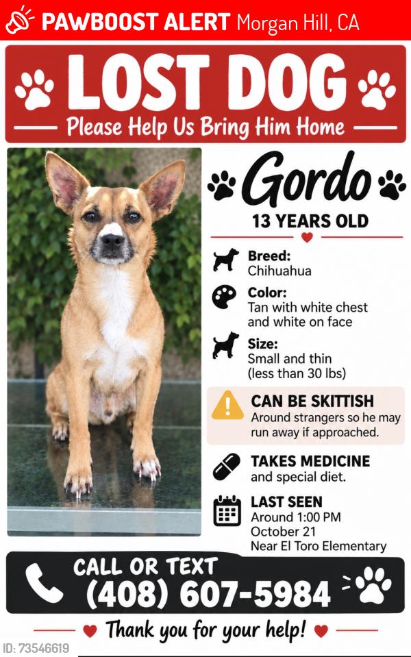 Lost Male Dog last seen El toro elementary school, Morgan Hill, CA 95037